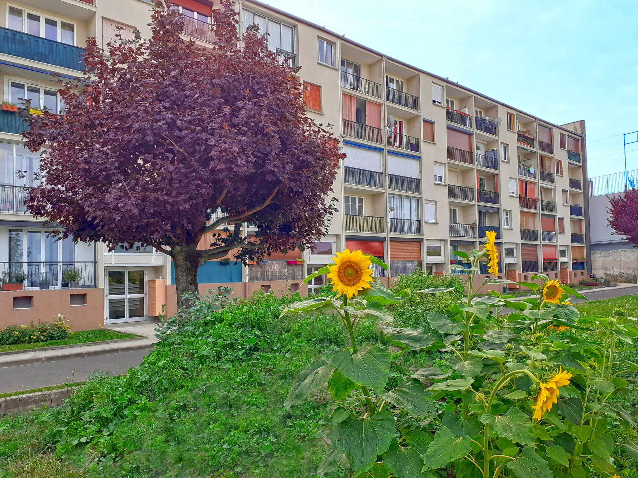 Image_3, Appartement, Montreuil, ref :V40004606