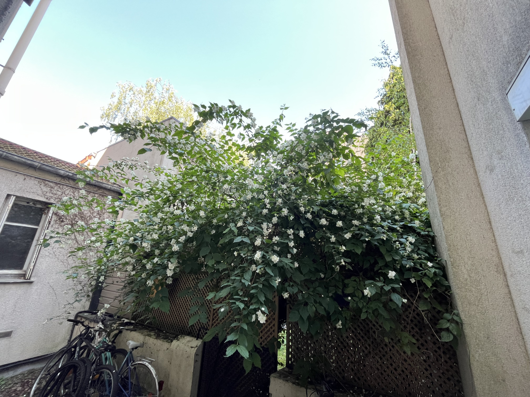 Image_6, viager appartement, Montreuil, ref :V50005817