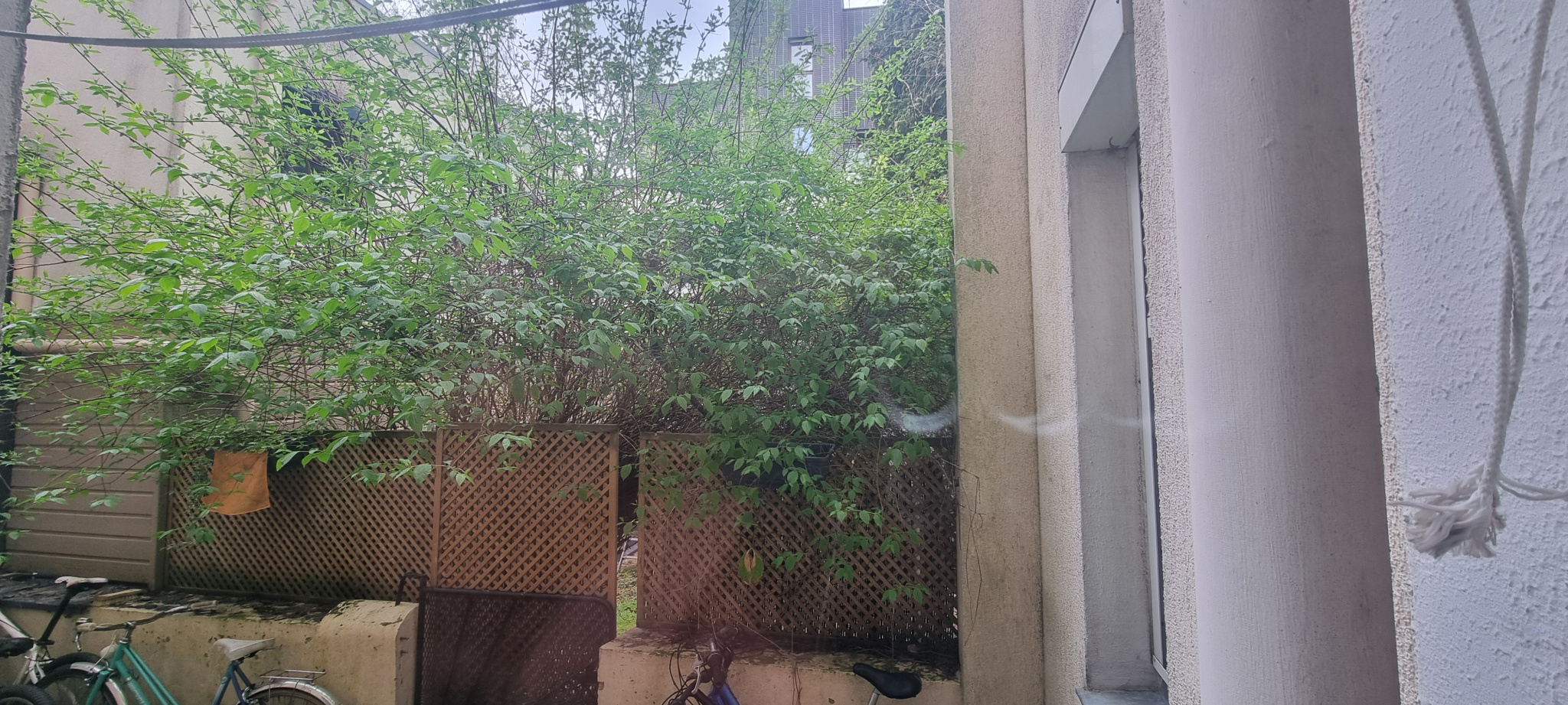 Image_4, viager appartement, Montreuil, ref :V50005817