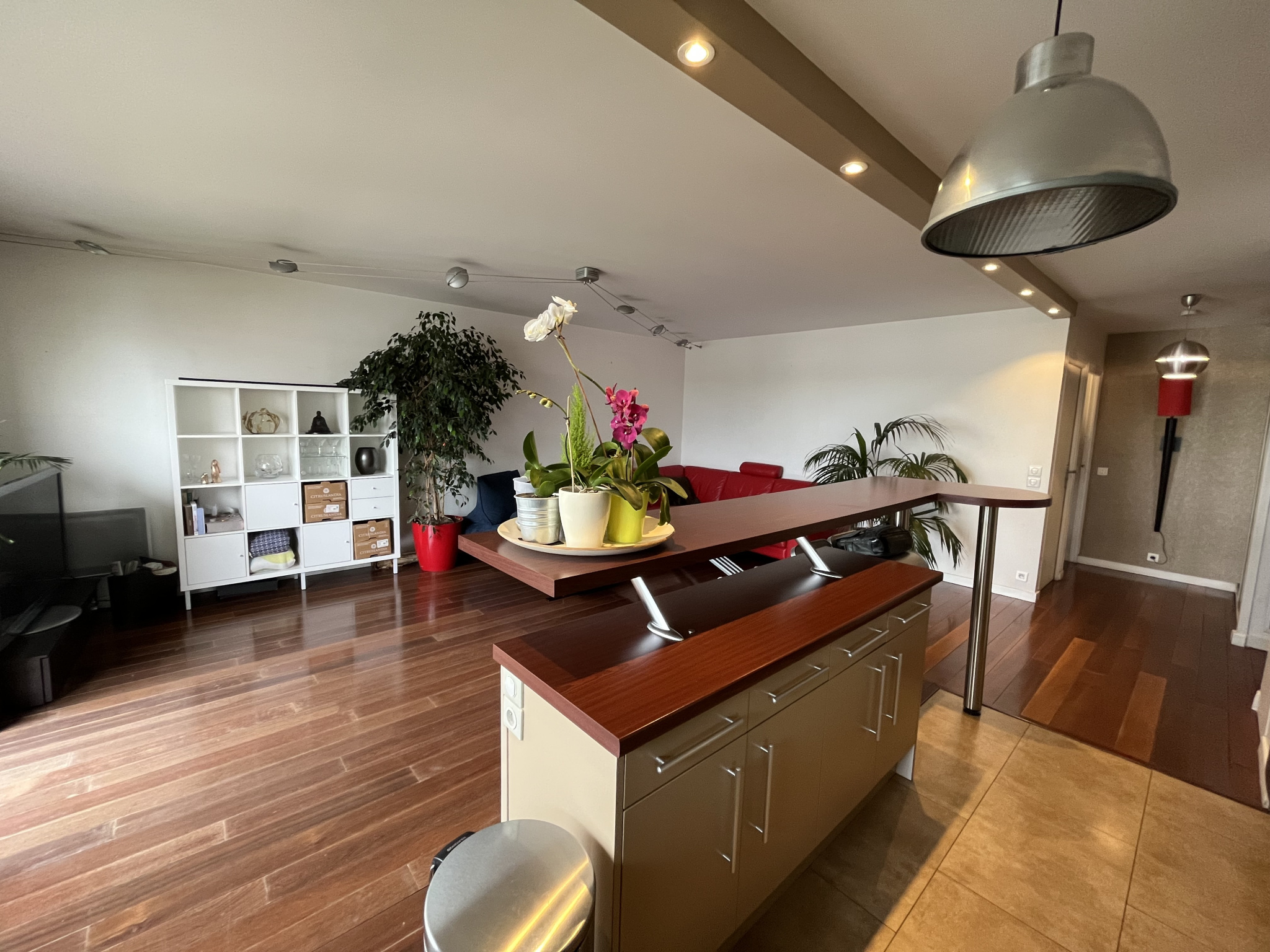 Image_11, Appartement, Joinville-le-Pont, ref :V50005921